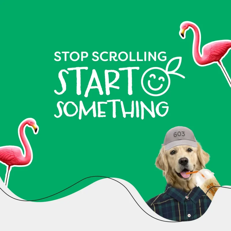 Stop scrolling featured imgs